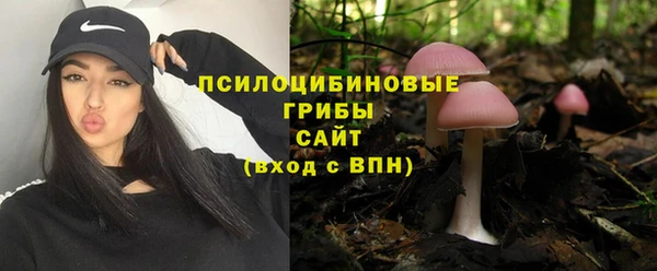 мяу мяу мука Ладушкин