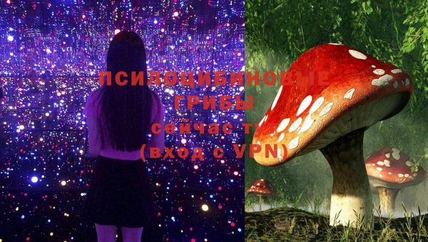 мяу мяу мука Ладушкин