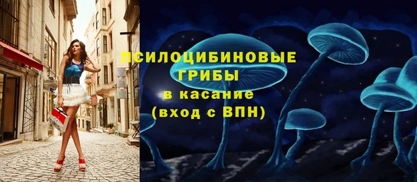 таблы Лабытнанги